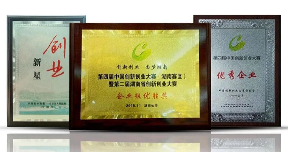 Chairman Guo Yanrui of SonnePower Appears on Hunan TV's "Duel for Gold 2025," Igniting Dreams for Young Entrepreneurs