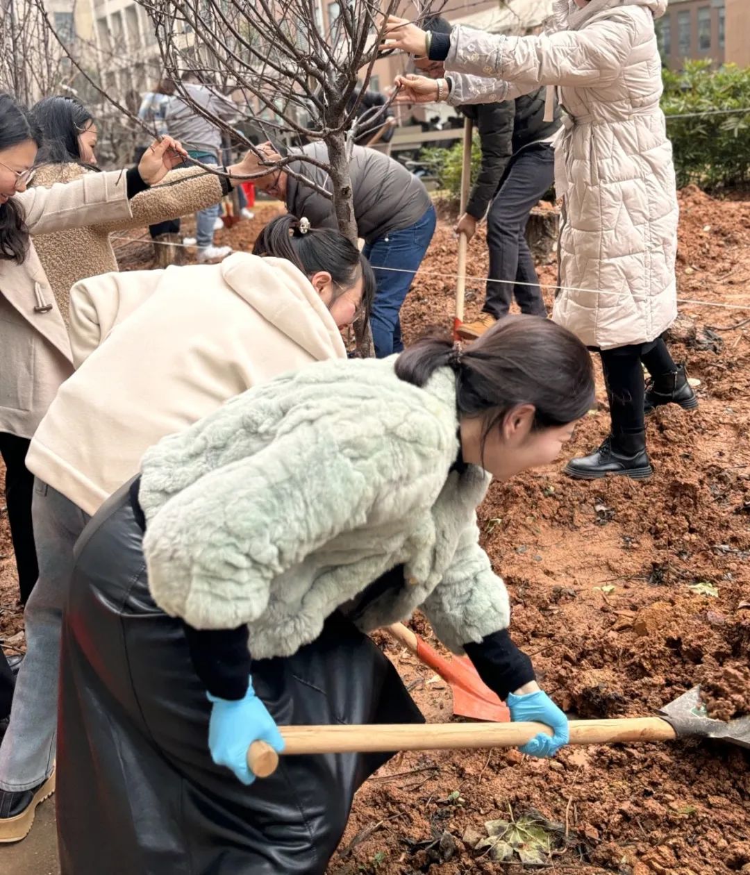 Building a Green Park, Sharing an Intelligent Future | SonnePower Actively Participates in Tree Planting Day